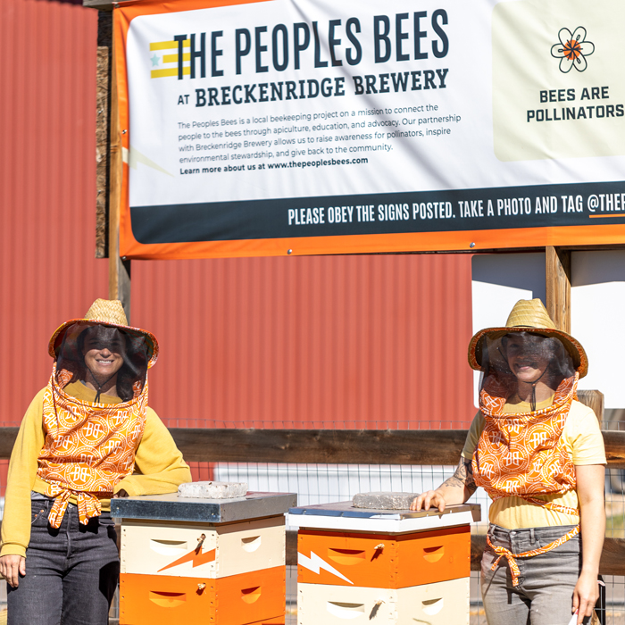 Bees and beers: a brew-tiful friendship