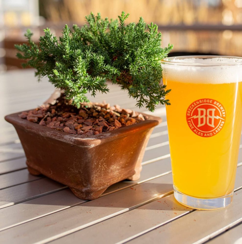 Bonsai & Brews. Create a bonsai platform and have a brew as well.