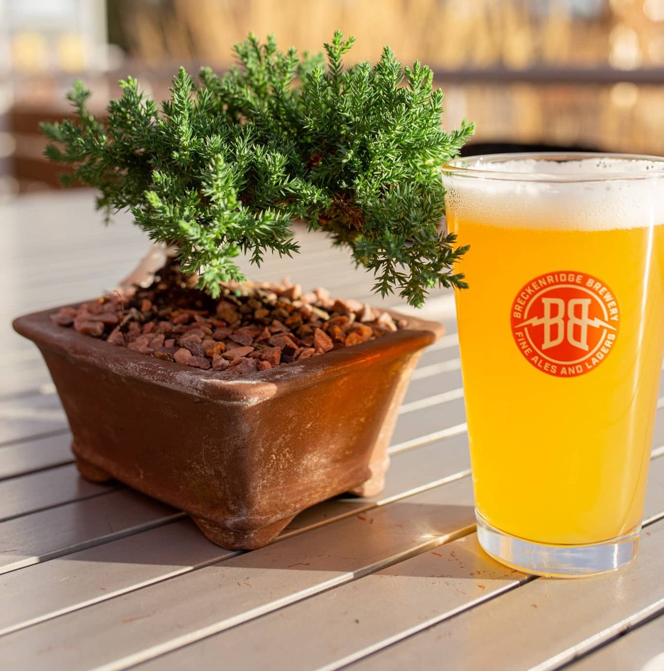 Bonsai & Brews. Create a bonsai platform and have a brew as well.